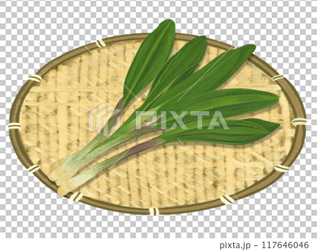 Wild garlic (with colander) Wild garlic (with colander) 117646046