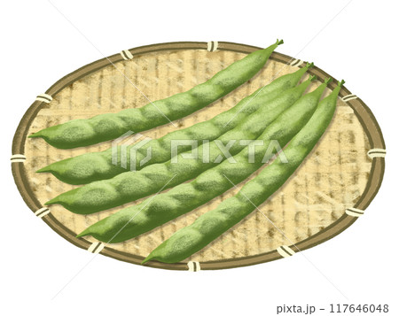 いんげん豆（ザル付き） 117646048