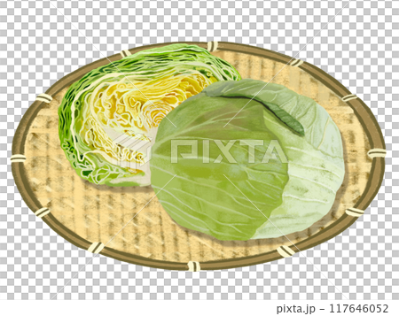 キャベツ（ザル付き） 117646052