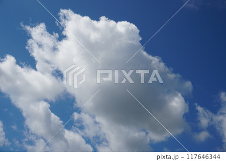 青空に浮かぶ雲 青空に浮かぶ雲 117646344
