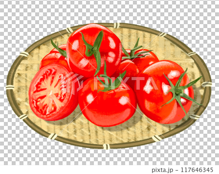 トマト（6個と断面）ザル付き 117646345