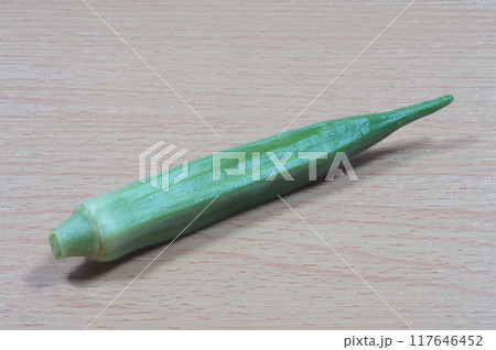 一本のオクラ 117646452