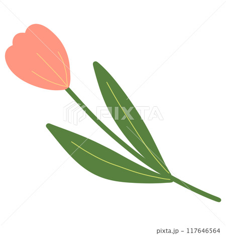 Cute Flower hand draw In Flat Design spring beautiful flowers Cute Flower hand draw In Flat Design spring beautiful flowers 117646564