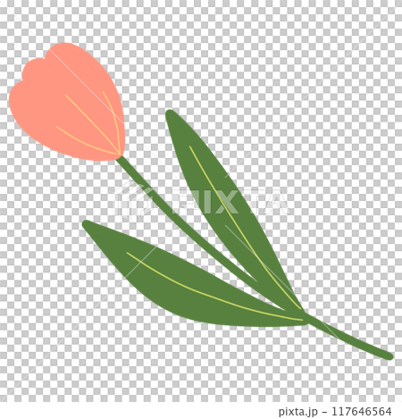 Cute Flower hand draw In Flat Design spring beautiful flowers Cute Flower hand draw In Flat Design spring beautiful flowers 117646564