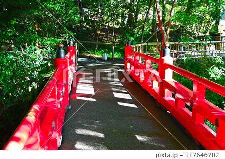 椿山荘の景色 117646702