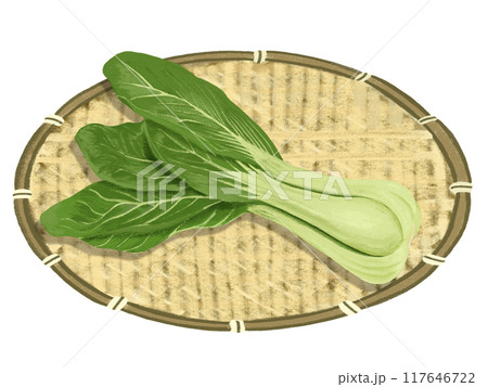 チンゲンサイ（ザル付き） 117646722