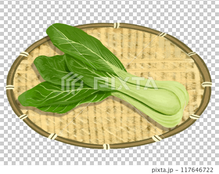 チンゲンサイ（ザル付き） 117646722