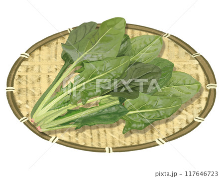 ほうれん草(ザル付き) ほうれん草(ザル付き) 117646723