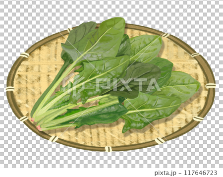 ほうれん草(ザル付き) ほうれん草(ザル付き) 117646723