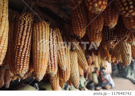 モン族のとうもろこし 117646742
