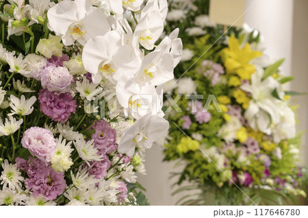 お葬式イメージ（供花） 117646780