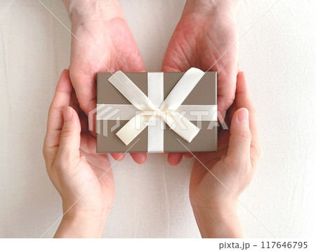 プレゼントを渡す女性の手元 プレゼントを渡す女性の手元 117646795