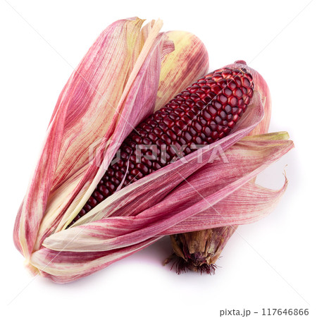 Fresh purple corns isolated on a white background Fresh purple corns isolated on a white background 117646866