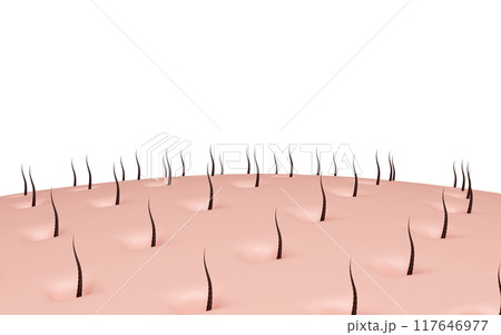 3d hair care with shampoo or serum for hair loss isolated. hair growth concept, 3d illustration render 3d hair care with shampoo or serum for hair loss isolated. hair growth concept, 3d illustration render 117646977