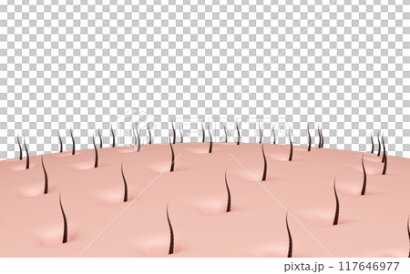 3d hair care with shampoo or serum for hair loss isolated. hair growth concept, 3d illustration render 3d hair care with shampoo or serum for hair loss isolated. hair growth concept, 3d illustration render 117646977