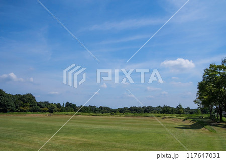 「三重県民の森」夏景色 117647031