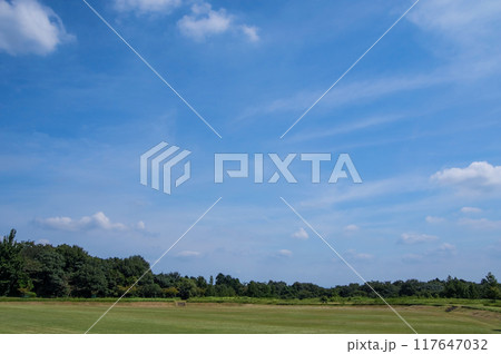 「三重県民の森」夏景色 117647032