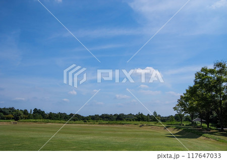 「三重県民の森」夏景色 117647033