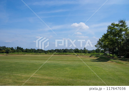 「三重県民の森」夏景色 117647036