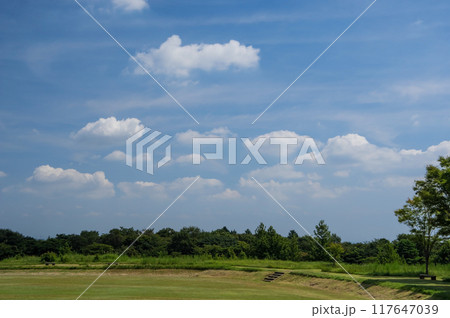 「三重県民の森」夏景色 117647039