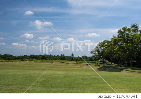 「三重県民の森」夏景色 117647041