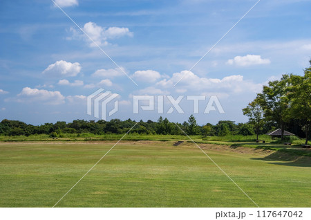 「三重県民の森」夏景色 117647042