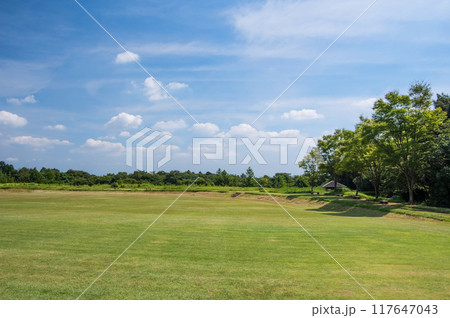 「三重県民の森」夏景色 117647043