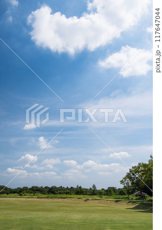 「三重県民の森」夏景色 117647044