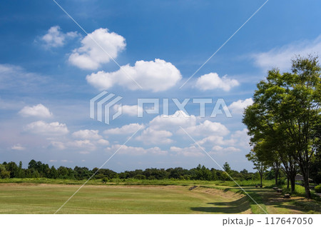 「三重県民の森」夏景色 117647050