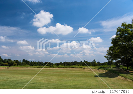 「三重県民の森」夏景色 117647053