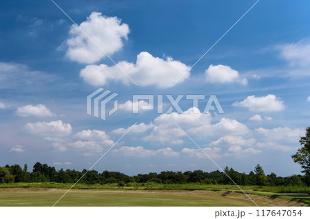 「三重県民の森」夏景色 117647054