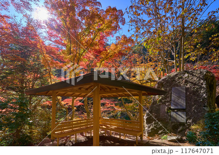 秋の山梨県甲府市の昇仙峡の遊歩道にある東屋付近の紅葉 117647071