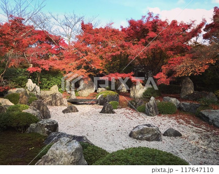 将軍塚青龍殿庭園の紅葉 将軍塚青龍殿庭園の紅葉 117647110