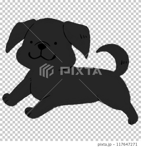 可愛的黑色拉布拉多奔跑 可愛的黑色拉布拉多奔跑 117647271