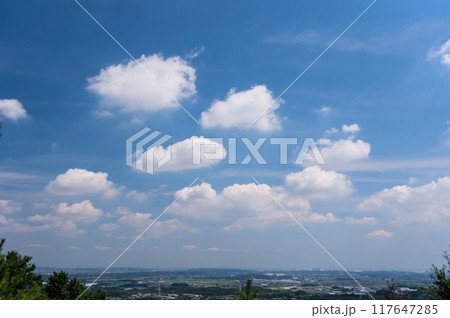 「三重県民の森」から見た夏の空 「三重県民の森」から見た夏の空 117647285