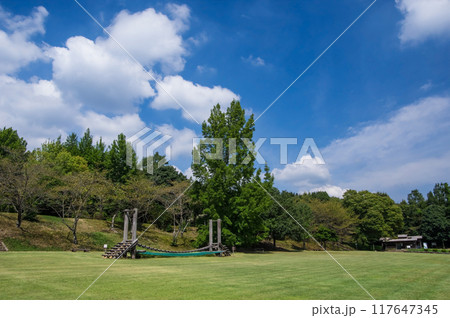 「三重県民の森」夏景色 117647345