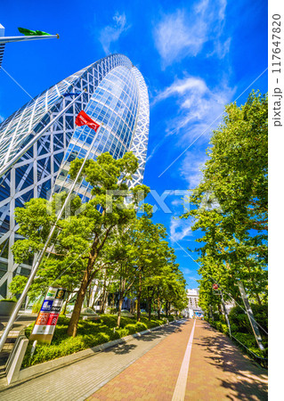 日本の東京都市景観 8月。東京モード学園コクーンタワーや新宿駅西口再開発などを望む=20日 日本の東京都市景観 8月。東京モード学園コクーンタワーや新宿駅西口再開発などを望む=20日 117647820