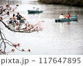 手漕ぎボートが浮かぶ春の池 117647895
