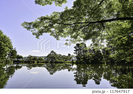 美しい新緑の兼六園 美しい新緑の兼六園 117647917