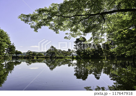 美しい新緑の兼六園 美しい新緑の兼六園 117647918