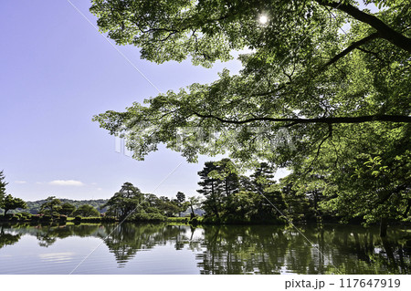 美しい新緑の兼六園 117647919