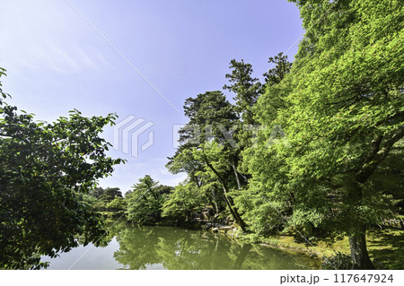 美しい新緑の兼六園 117647924