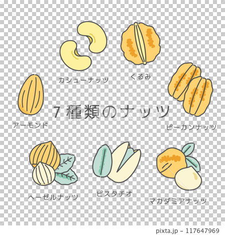 7種堅果插畫 117647969