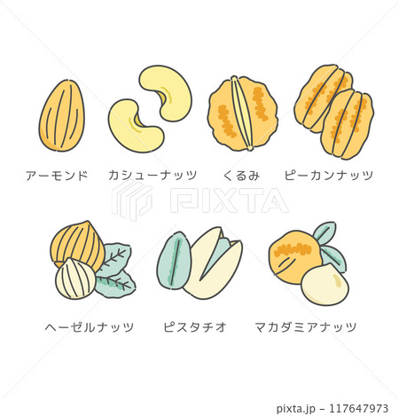 7種類のナッツ　イラスト 117647973