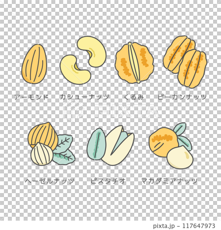 7種類のナッツ　イラスト 117647973