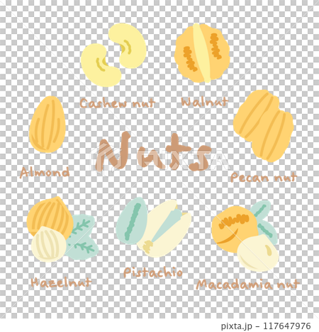 7種堅果插畫 7種堅果插畫 117647976
