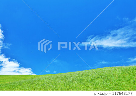 爽やかな夏の青空と新緑の草原風景 爽やかな夏の青空と新緑の草原風景 117648177