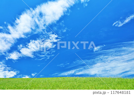 爽やかな夏の青空と新緑の草原風景 爽やかな夏の青空と新緑の草原風景 117648181