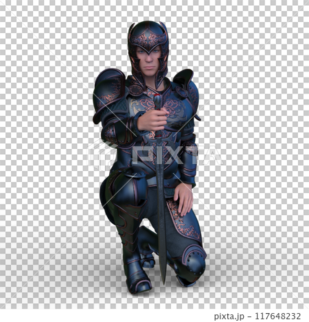 Knight 117648232