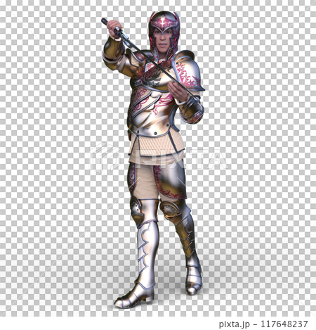Knight 117648237